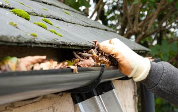 gutter cleaning Rhicullen, Highland