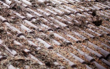 Rhicullen roof cleaning companies