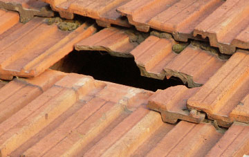roof repair Rhicullen, Highland